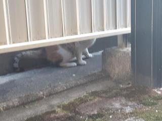 �摜(320x240)�E�g��摜(640x480)