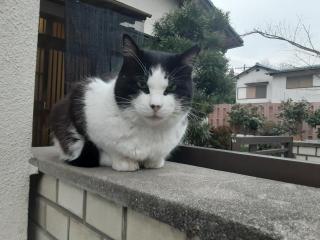 画像(320x240)・拡大画像(640x480)