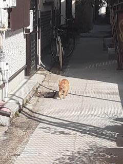 �摜(240x320)�E�g��摜(480x640)