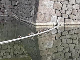 画像(320x240)・拡大画像(640x480)