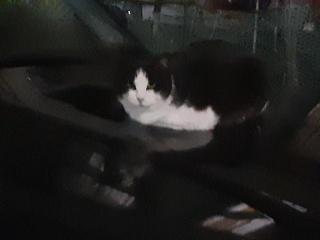 �摜(320x240)�E�g��摜(640x480)