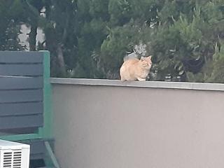 画像(320x240)・拡大画像(640x480)