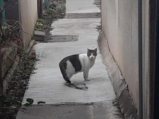 �摜(320x240)�E�g��摜(640x480)