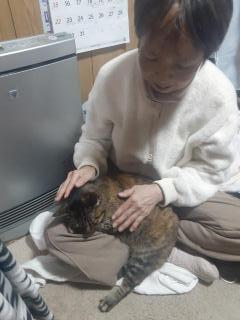 画像(240x320)・拡大画像(480x640)