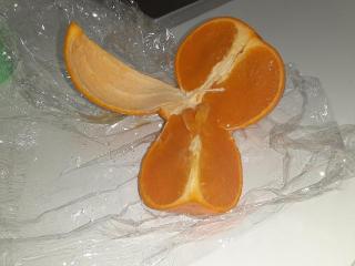 �摜(320x240)�E�g��摜(640x480)