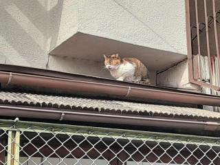 �摜(320x240)�E�g��摜(640x480)