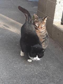 �摜(240x320)�E�g��摜(480x640)