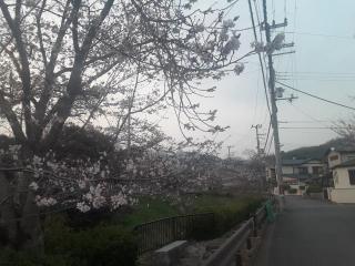 �摜(320x240)�E�g��摜(640x480)