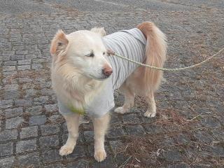 画像(320x240)・拡大画像(640x480)