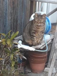 �摜(240x320)�E�g��摜(480x640)