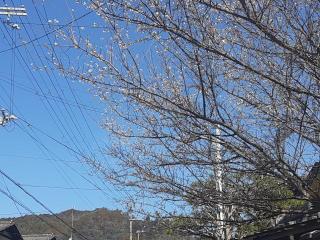 画像(320x240)・拡大画像(640x480)