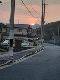 �摜(240x320)�E�g��摜(480x640)