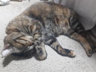 �摜(320x240)�E�g��摜(640x480)