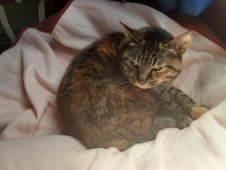 画像(320x240)・拡大画像(640x480)