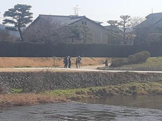 �摜(320x240)�E�g��摜(640x480)