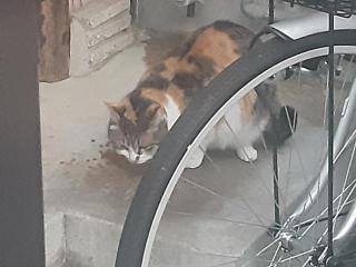 �摜(320x240)�E�g��摜(640x480)