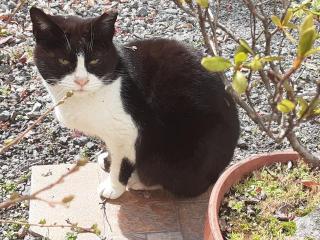 �摜(320x240)�E�g��摜(640x480)