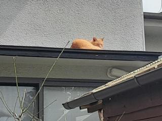 画像(320x240)・拡大画像(640x480)