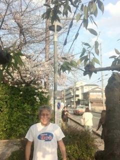 画像(240x320)・拡大画像(480x640)