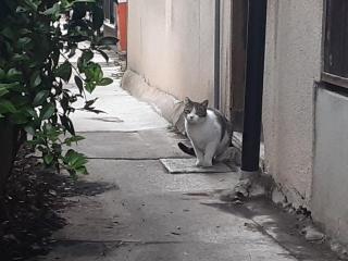 �摜(320x240)�E�g��摜(640x480)