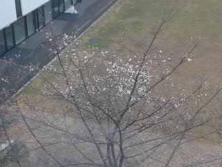 画像(320x240)・拡大画像(640x480)