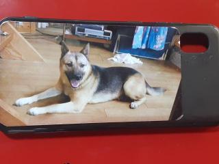 �摜(320x240)�E�g��摜(640x480)