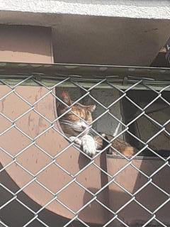 �摜(240x320)�E�g��摜(480x640)