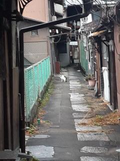 �摜(240x320)�E�g��摜(480x640)