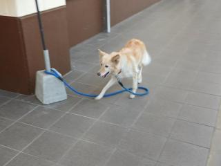 �摜(320x240)�E�g��摜(640x480)