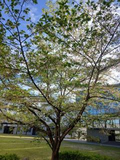 画像(240x320)・拡大画像(480x640)