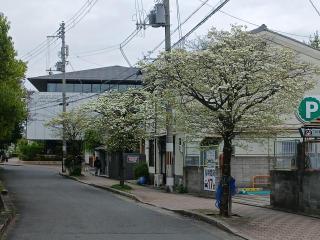 画像(320x240)・拡大画像(640x480)