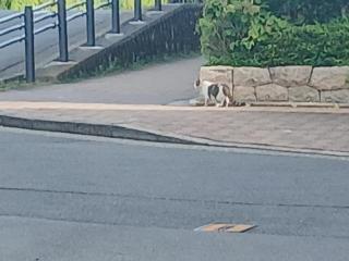 �摜(320x240)�E�g��摜(640x480)