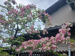 �摜(320x240)�E�g��摜(640x480)