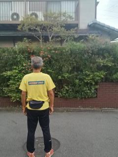 �摜(240x320)�E�g��摜(480x640)