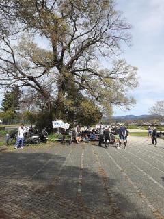 画像(240x320)・拡大画像(480x640)