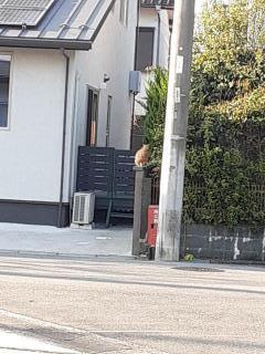 �摜(240x320)�E�g��摜(480x640)