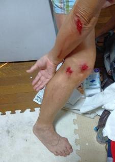 画像(226x320)・拡大画像(452x640)