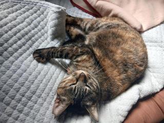 �摜(320x240)�E�g��摜(640x480)