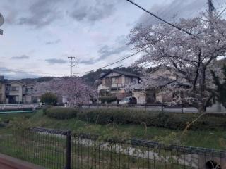 画像(320x240)・拡大画像(640x480)