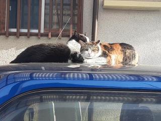 �摜(320x240)�E�g��摜(640x480)