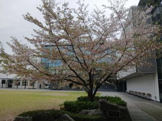 画像(320x240)・拡大画像(640x480)