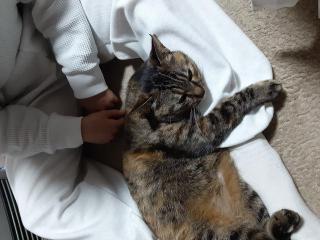 画像(320x240)・拡大画像(640x480)