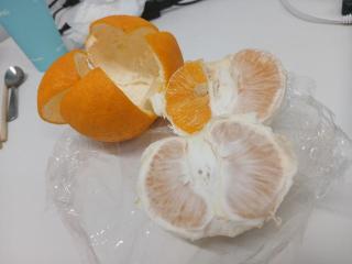 �摜(320x240)�E�g��摜(640x480)