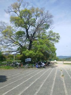 �摜(240x320)�E�g��摜(480x640)