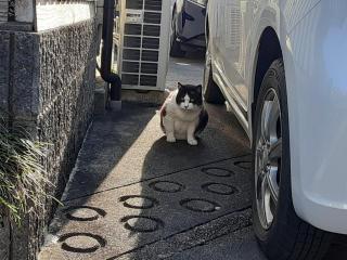 �摜(320x240)�E�g��摜(640x480)