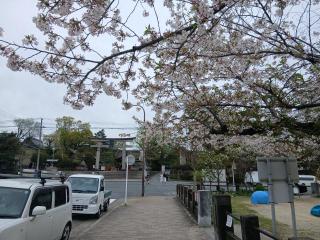 画像(320x240)・拡大画像(640x480)