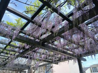 画像(320x240)・拡大画像(640x480)