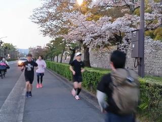 画像(320x240)・拡大画像(640x480)