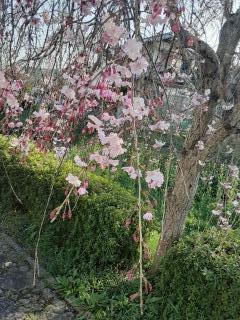 �摜(240x320)�E�g��摜(480x640)