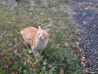 �摜(320x240)�E�g��摜(640x480)